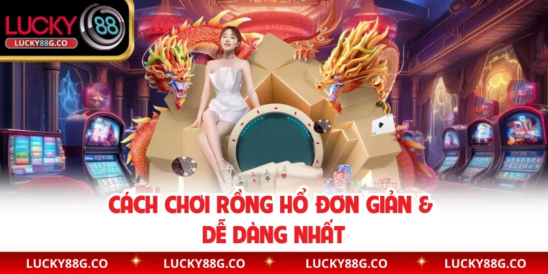 Cách chơi Rồng Hổ đơn giản & dễ dàng nhất
