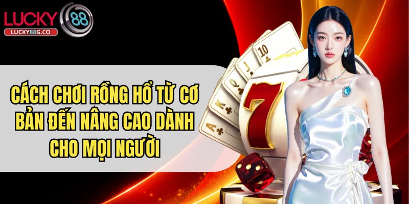 Cách Chơi Rồng Hổ Từ Cơ Bản Đến Nâng Cao Dành Cho Mọi Người