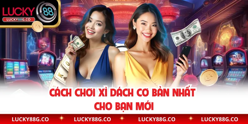 Cách chơi Xì Dách cơ bản nhất cho bạn mới