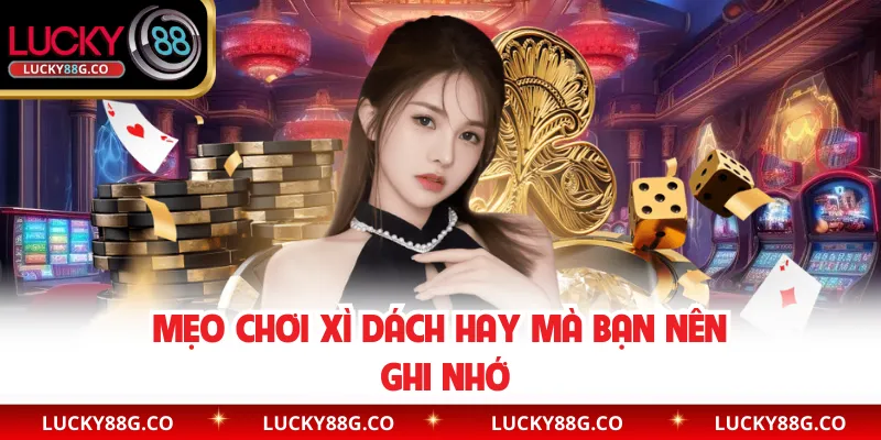 Mẹo chơi Xì Dách hay mà bạn nên ghi nhớ