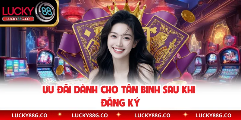 Ưu đãi dành cho tân binh sau khi đăng ký